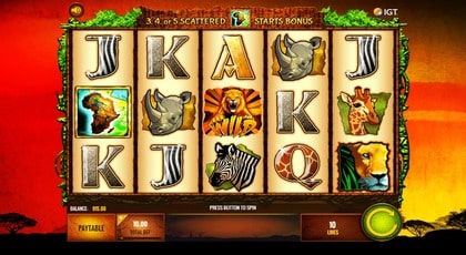 Wild Life Slot ScreenShot 2