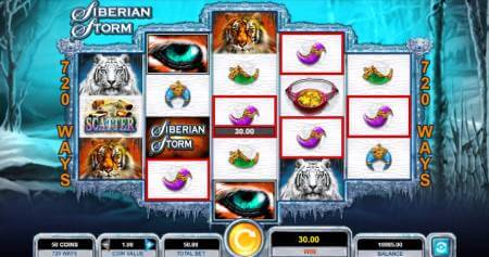 Siberian Storm ScreenShot 1